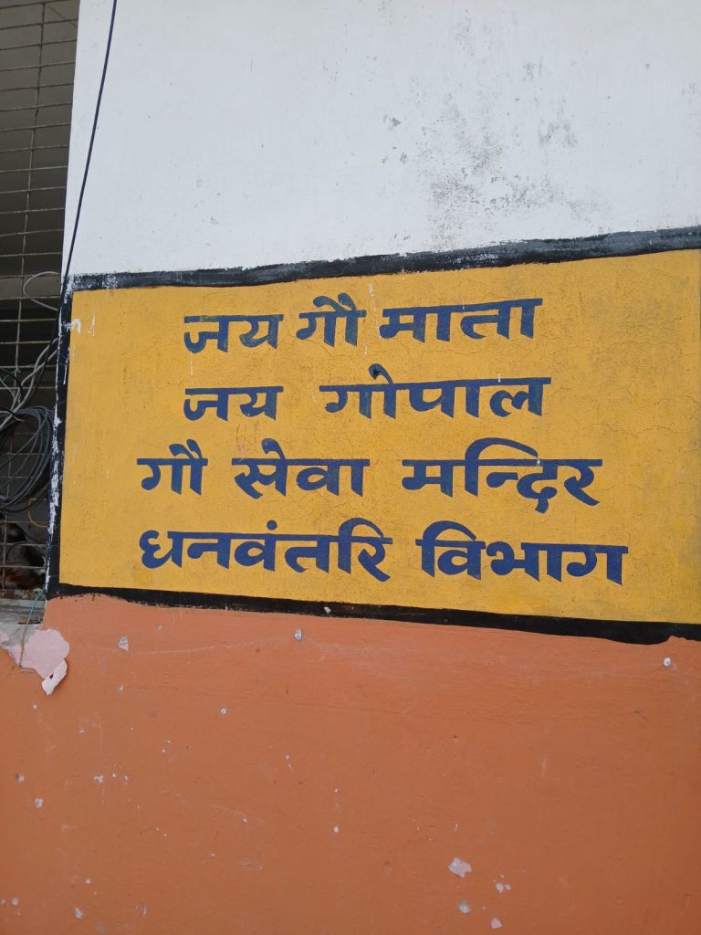 whatsapp image 2026 05 29 at 11.35.12 am (2)