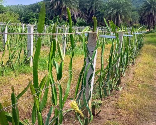 whatsapp image 2025 10 14 at 1.22.19 pm